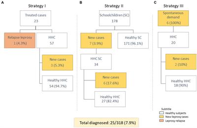 Specialized active leprosy search strategies in an endemic area of the Brazilian Amazon identifies a hypermutated Mycobacterium leprae strain causing primary drug resistance